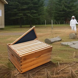 10 Frame Bee Hive Box, Wax Coated Honey Super Bee Hive Kit with Frames and Foundations Sheets for Beginners Beekeepers, Deep Box - 1 of 4