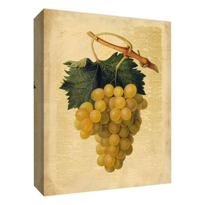 11" x 14" Yellow Grapes Decorative Wall Art - PTM Images