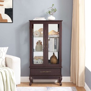 Dolonm 51.58 in. H Curio Cabinet, Glass Display Cabinet, Wine Cabinet with LED Lights, 2 Doors & Adjustable Shelves - 1 of 4