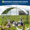 Heavy-duty walk-in chicken coop, large poultry cage with waterproof UV-resistant cover and round top design, suitable for backyard - 3 of 4