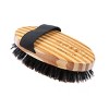 Bass Pet Brushes Shine & Condition Pet Brush with 100% Premium Natural Bristle Pure Bamboo Handle Palm Style - image 4 of 4