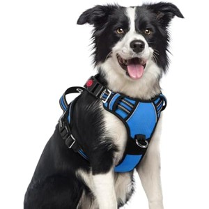 rabbitgoo Dog Harness Medium Sized, No Pull Dog Vest  with Easy Control Handle and Reflective Strips, Blue, M - 1 of 1