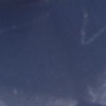 navy blue, yellow, brown