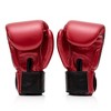 Fairtex Golden Jubilee Premium Muay Thai Boxing Glove - Limited Edition - 2 of 4