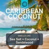 Every Man Jack 48-Hour Odor Defense Deodorant - Aluminum-Free - Caribbean Coconut - 2.6oz - 4 of 4