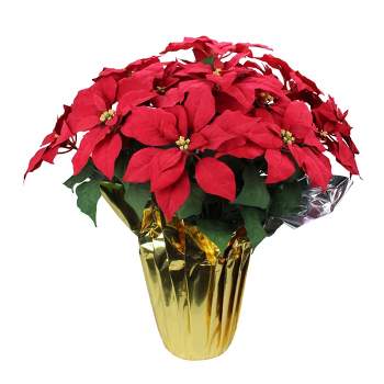 Northlight 28" Red Artificial Christmas Poinsettia with Gold Wrapped Pot