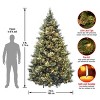National Tree Company 9' Pre-lit Carolina Pine Artificial Christmas Tree with Clear Lights - 4 of 4