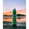The Mountain Valley Spring Water - 750 Ml Can (Pack of 12) - 4 of 4