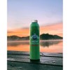 The Mountain Valley Spring Water - 750 Ml Aluminum Can (Pack of 12) - image 4 of 4