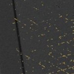 seth freakin rollins