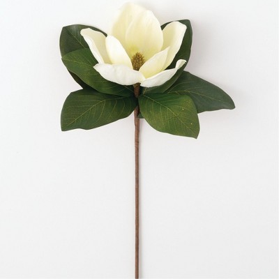 Sullivans Artificial Magnolia Stem 18.5"H Cream