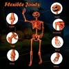 5.2 FT Orange Life-Size Poseable Halloween Skeleton with Pumpkin Head and Movable Joints - Gallery View 2 of 10 5.2 FT Orange Life-Size Poseable - 4 of 4