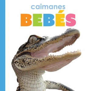 Caimanes Bebés - by  Kim Thompson (Paperback) - 1 of 1