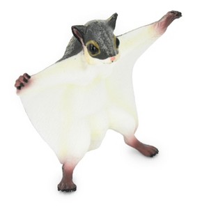 Collectible Wildlife Gifts | Squirrel, Flying Squirrel, Museum Quality, Hand Painted, Rubber Mammal, Realistic Toy Model, Gift,  6 1/2"   CH233 BB120 - 1 of 4