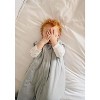 Ely's & Co. Baby Winter Sleep Sack - Wearable Blanket TOG 1.0 Cotton for Baby - 3 of 4