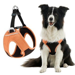 Gooby Escape Free Easy Fit Plus Harness Atlanta Peach, X - 1 of 1