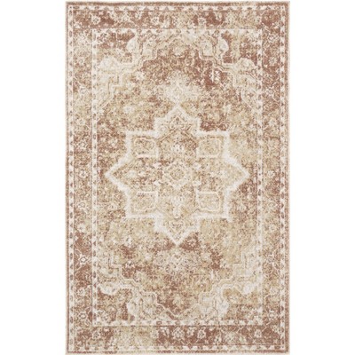 Nourison Washable Astra Vintage Medallion Indoor Flatweave Area Rug