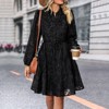 Womens Long Sleeve Lace Dress Button Down Tiered A Line Dress Tie Waist Mini Shirts Dress Fall Casual Dress - 3 of 4