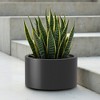 Heavy Duty Corten Steel Round Raised Garden Bed, Kit Pre-Rusted Metal Planter Box for Vegetables, Flowers, Herbs – Black – Ideal for Outdoor Gardening - 4 of 4