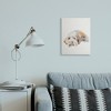 Stupell Industries Scruffy Dog Laying Down Painting Canvas Art - 3 of 4