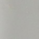 snake plant (green) 40cm