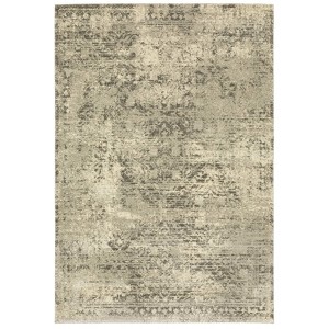 Captiv8e Designs Axel Vintage Oriental Beige/Gray Area Rug - 1 of 4