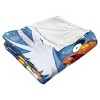 Disney D100 Embarrassed Pumba Silk Touch Throw - 3 of 4