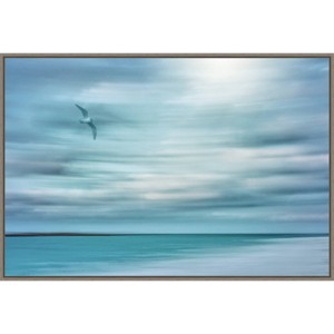 33" x 23" Abstract of Bird and Beach by Don Paulson Danita Delimont Framed Canvas Wall Art Print - Amanti Art: Modern Decor - 1 of 4