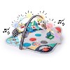 Baby Einstein Sensory Play Space Newborn-to-Toddler Discovery Gym - 3 of 4