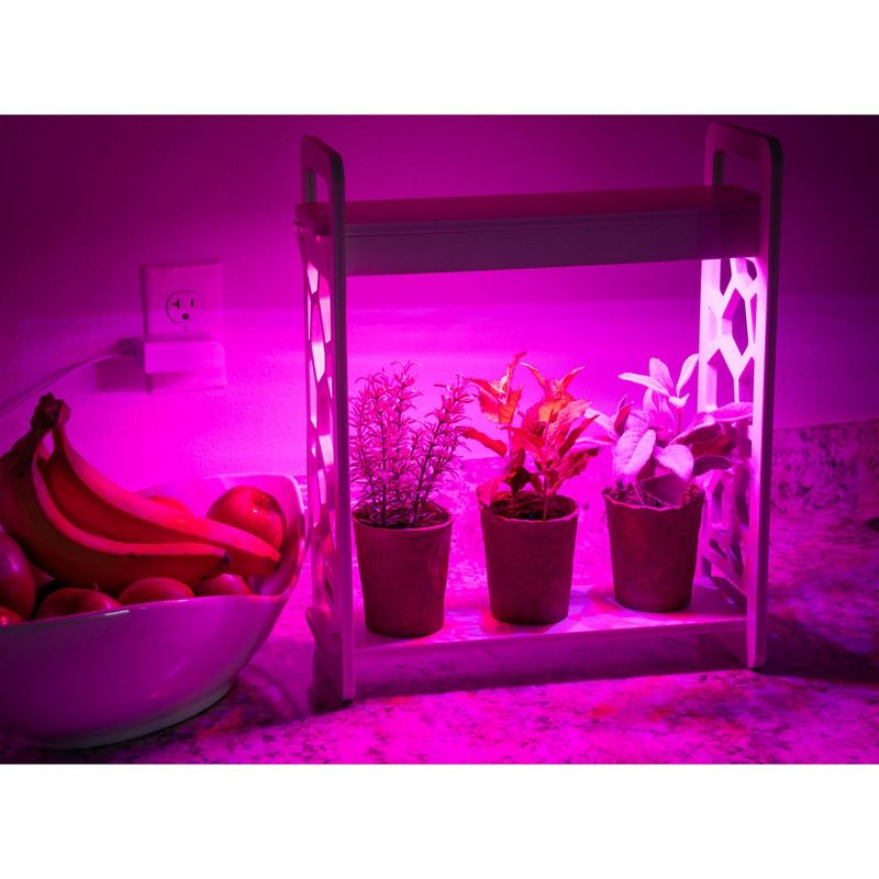 Mindful Design Narrow Spectrum Hexagon LED Indoor Herb Garden With Timer - Red and Blue LEDs Encourage Stem, Leaf, and Flower Growth, 2 of 7