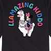 Boys' - Disney - Llamazing Kiddo Long Sleeve Graphic T-Shirt - 2 of 4
