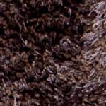 lavander