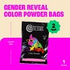Chameleon Colors Gender Reveal Powder - Easy-Open Bags of Color Chalk Powder - 2 Pack of 1 Lb Bags - 2 of 4