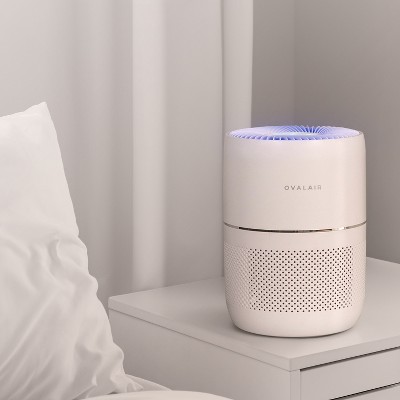 Oval White H13 HEPA Smart Desk Air Purifier