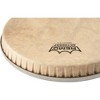 Remo S-Series Skyndeep Bongo Head - 2 of 4