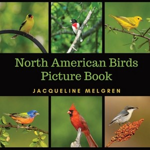 North American Birds Picture Book - Large Print by  Jacqueline Melgren (Paperback) - 1 of 1