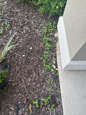 Guest review image 2 of 2, zoom in