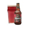 Founders Rübæus Raspberry Ale Beer - 6pk/12 fl oz Bottles - image 4 of 4