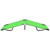 vidaXL Folding Sun Lounger Steel Green - 3 of 4