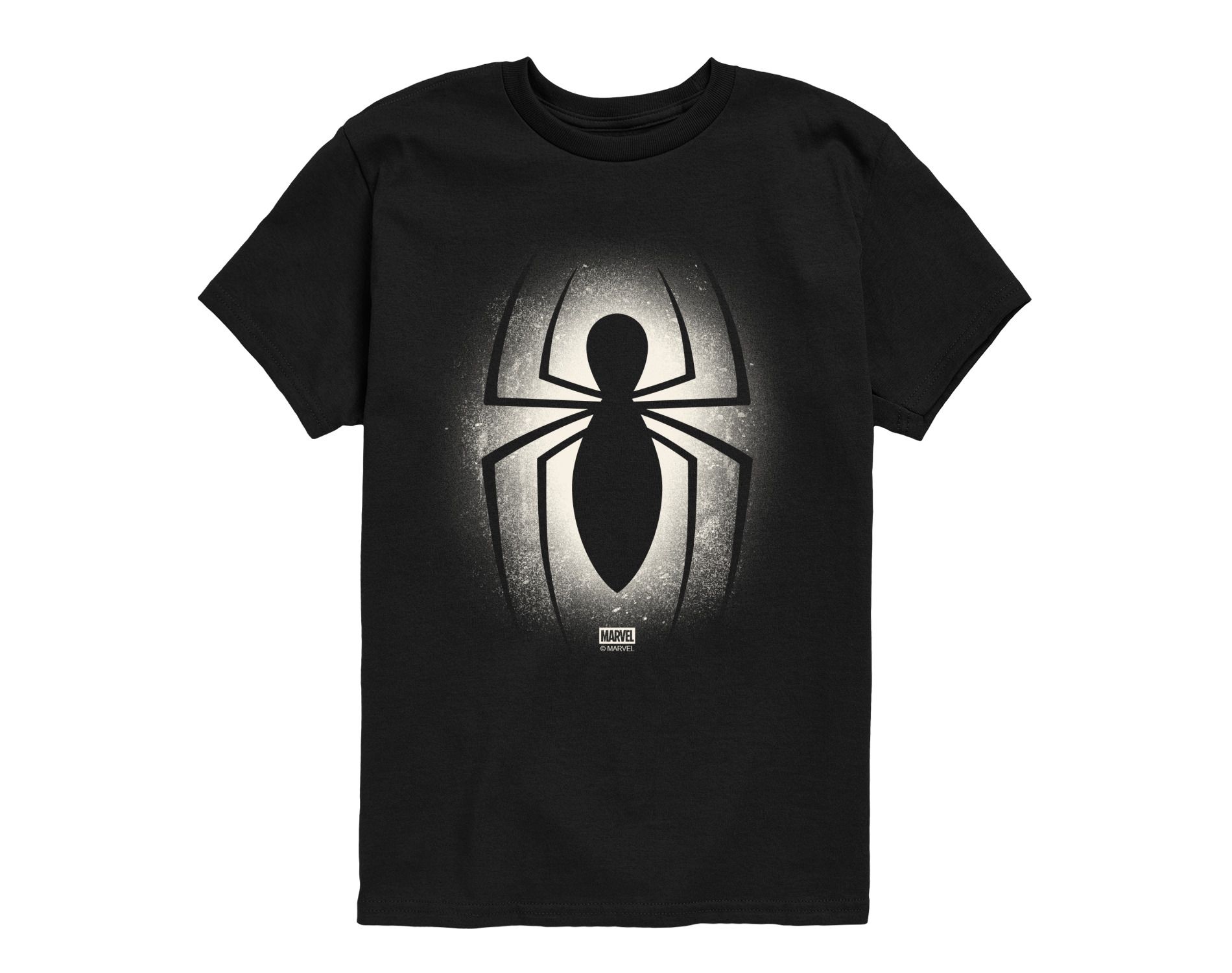Boys' Marvel Spider-Man Logo Graffiti Short Sleeve Graphic T-Shirt - Black - Large