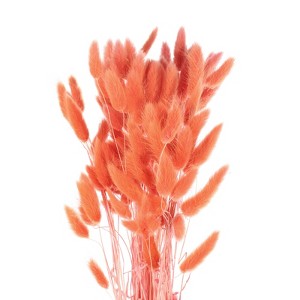 Unique Bargains Decorative Natural Dried Floral Bunny Tail Artificial Plants 120 Pcs - 1 of 4