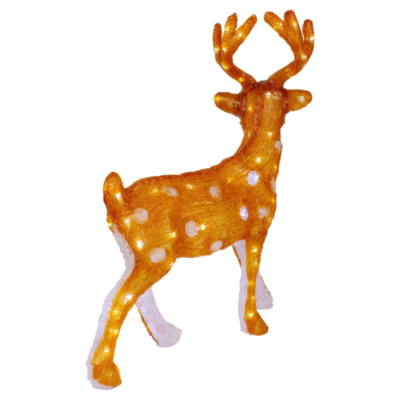Northlight LED Lighted Commercial Grade Acrylic Mini Reindeer Outdoor Christmas Decoration - 24" - Warm White Lights, 5 of 7