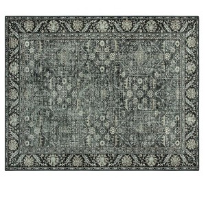 Lahome Grasso Vintage Machine Washable Area Rug-Soft Low-Pile Carpet for Living Room, Bedroom, or Entryway - 1 of 2