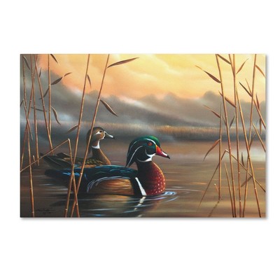 Geno Peoples Wood Ducks 22" x 32" Canvas Wall Art