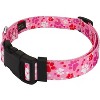 Country Brook Petz Deluxe Dog Collar - Affection Collection - 2 of 4