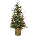 National Tree Company First Traditions 4' Pre-Lit LED Feel Real Scotch Creek Fir Potted Artificial Christmas Tree White Lights