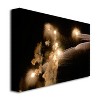 Trademark Fine Art -Kurt Shaffer 'Abstract Fireworks 34' Canvas Art - 2 of 2