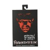 NECA Universal Monsters Ultimate Frankenstein's Monster 7" Scale Action Figure - 3 of 4