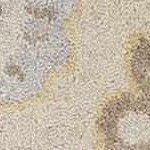ivory, tan, taupe, pale blue, light brown