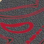 minnesota wild